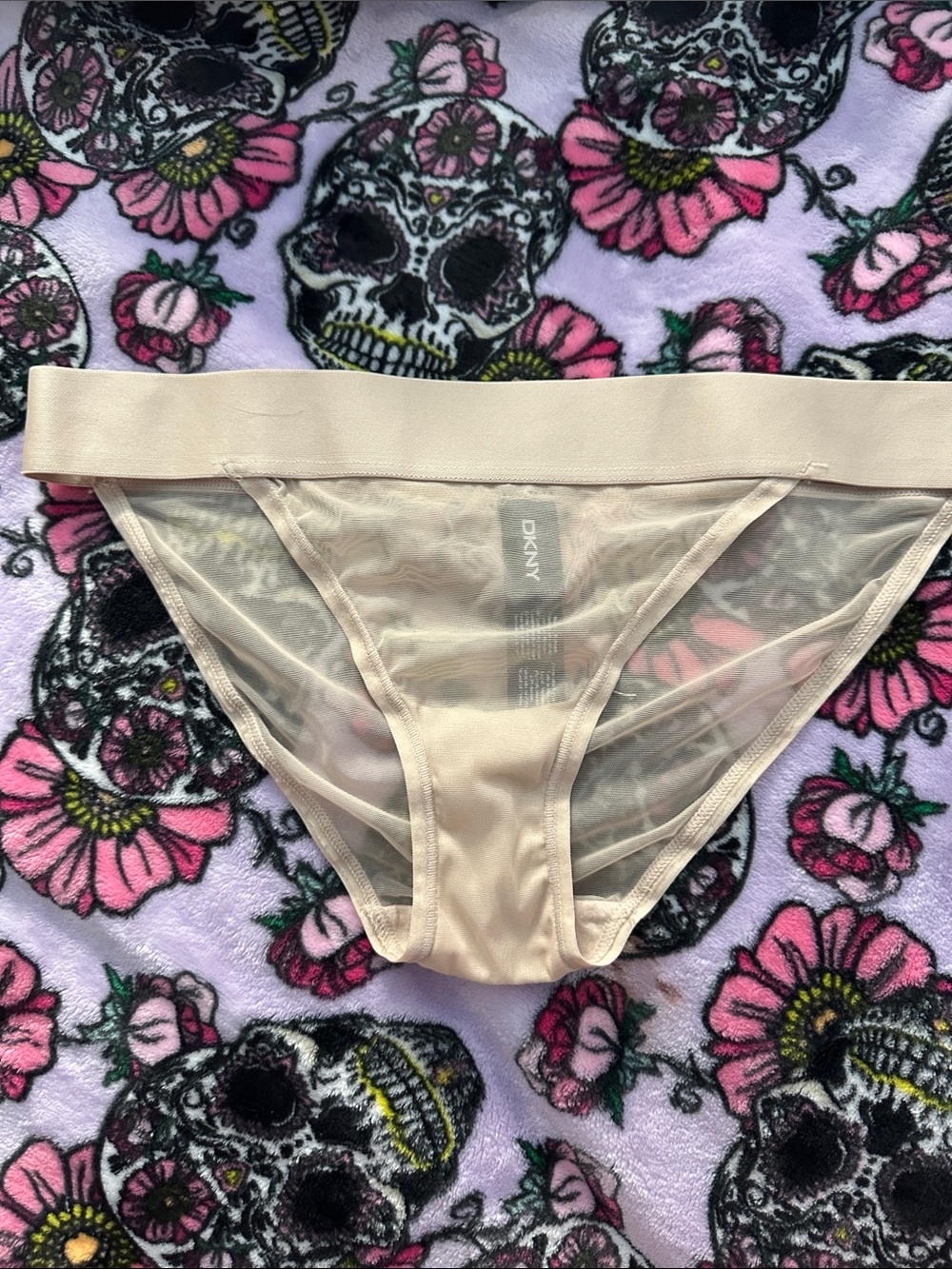 DKNY Nude Sheer Mesh Bikini Brief